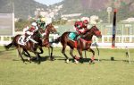 Pedigree da semana: Olympic Jhonsnow
