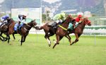 Galeria de Fotos – Confira os vencedores desta TERÇA (01)