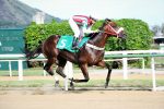 Galeria de Fotos – Confira os vencedores desta TERÇA (08)