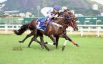 GP Almirante Tamandaré (G2): um craque de nome George Washington