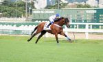 Oberyn resiste a Nepal para vencer o GP Frederico Lundgren (G3)