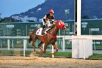 Galeria de Fotos – Confira os vencedores deste DOMINGO (13) no JCB