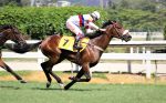 Galeria de Fotos – Confira os vencedores deste DOMINGO (20) no JCB