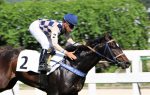 Oceano Azul, do Haras Figueira do Lago, vence na estreia da Geração 2018 no JCB
