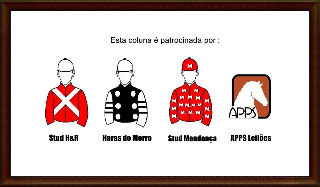 O atributo alt desta imagem está vazio. O nome do arquivo é PATROCINIO-1024x598.jpg
