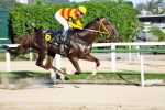 Galeria de Fotos – Confira os vencedores desta TERÇA (15)