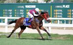 Queller comanda dobrada da criação Araras no GP Roger Guedon (G3)
