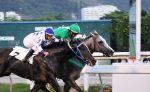 Galeria de Fotos – Confira os vencedores deste DOMINGO (17) no JCB