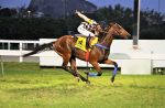 GP José Buarque de Macedo tem campo dos mais equilibrados