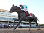 Festival da Pegasus World Cup, a atração do sábado na tela da Tv Turfe