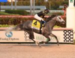 Knicks Go reina soberano na Pegasus World Cup