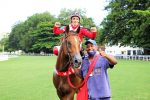 Pedigrees da semana: Queller, Olympic Kremlin e Amor Total