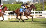 Pedigree da semana: I’m Stronger