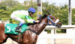 Galeria de Fotos – Confira os vencedores deste DOMINGO (24) no JCB