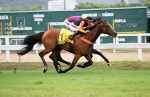 GP Henrique Possolo (G1): Janelle Monae, invicta e candidata à Tríplice Coroa