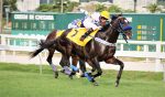 Galeria de Fotos – Confira os vencedores deste DOMINGO (14) no JCB