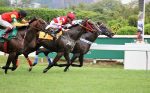 P.E. Pico Central: Efetivo Bull larga e acaba
