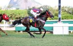 Galeria de Fotos – Confira os vencedores desta TERÇA (23)