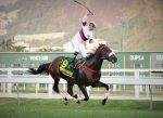 Pimper’s Paradise, a força do 89º GP Brasil (G1)