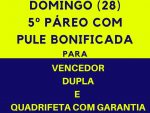 No domingo (28), 5º páreo terá pule bonificada (vencedor e dupla) e Quadrifeta com Garantia