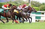 Éguas e fundistas nas melhores carreiras da Gávea