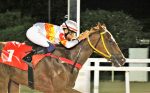 Galeria de Fotos – Confira os vencedores desta TERÇA (02)