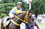 Pedigrees da semana: Just Like e Keep Koller