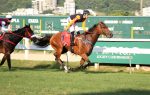 Invicta e candidata à Coroa, Janelle Monae e a glória do GP Diana (G1)