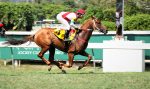 Galeria de Fotos – Confira os vencedores desta QUINTA (25)