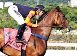 Quatro vitórias para Henderson Fernandes