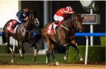 Super Sábado, a espetacular prévia da Dubai World Cup