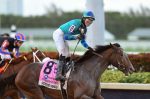 Florida Derby é destaque em fantástico sábado de turfe