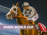 Atração do sábado na Tv Turfe, Dubai World Cup tem campo equilibrado