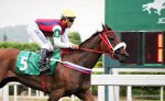 Pedigree da semana: Helquis