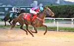 Galeria de Fotos – Confira os vencedores desta TERÇA (27)