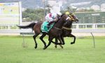 Campo seleto no GP Riboletta (G3)