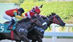 Itagiba bate seus rivais no quilômetro do Clássico Jockey Club de São Paulo (L.)