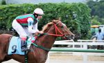 Galeria de Fotos – Confira os vencedores desta TERÇA (13)