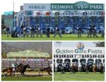 Assista as corridas de  Belmont, Santa Anita e Golden Gate, na Tv Turfe, e aposte!