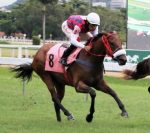 Seis potrancas no campo do GP Luiz Fernando Cirne Lima (G3)