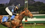 Vitória fácil de He’s Gold na P.E. Gualicho