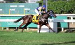 Nova líder, Jamberly domina o GP Francisco Villela de P. Machado (G2)