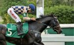 Oceano Azul esbanja classe no GP Conde de Herzberg (G2)