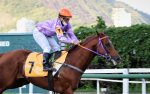 Vitória fácil de Jackson Story na P.E. Roi Normand