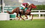 Galeria de Fotos – Confira os vencedores deste DOMINGO (23) no JCB