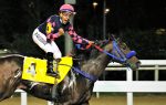 Galeria de Fotos – Confira os vencedores desta SEGUNDA (24) no JCB