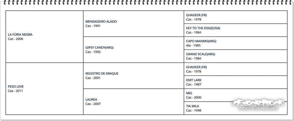 O atributo alt desta imagem está vazio. O nome do arquivo é GOOD-BLACK-1024x424.jpg