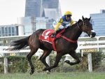 Keep Koller, do Stud Eternamente Rio, vence o GP Juliano Martins (G1)