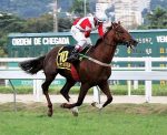 Doutor Frontin tem campo equilibrado