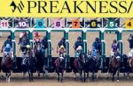 Hoje é dia de Preakness, na TV Turfe